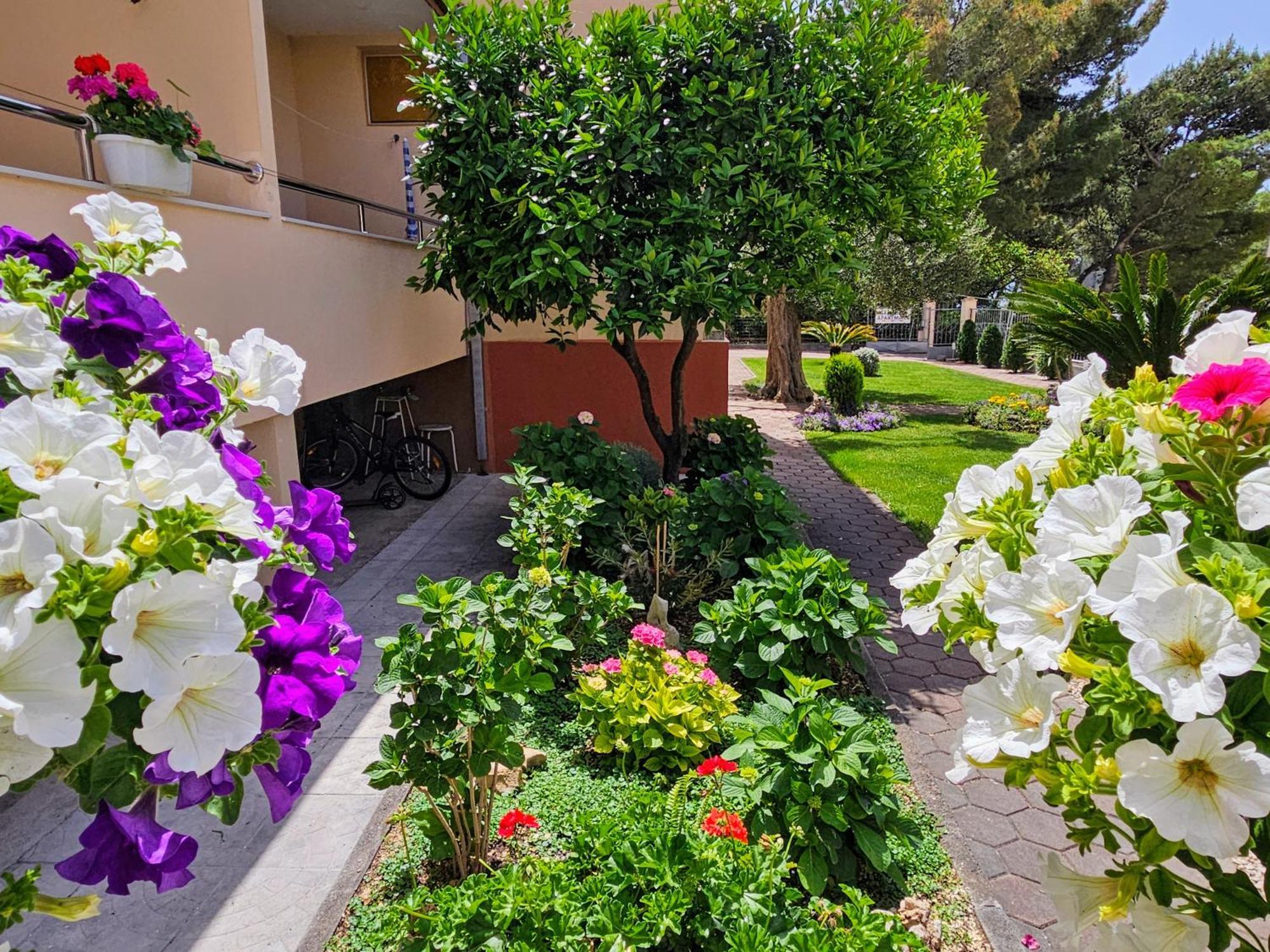 Guest House Antonia Baška Voda Exterior foto